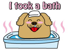 Golden Retriever Momo English version sticker #4738181