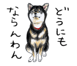 shibawanwan sticker #4738276