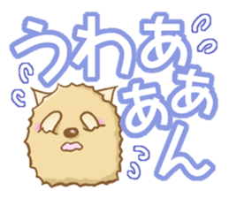 Reply of Pomeranian sticker #4739276