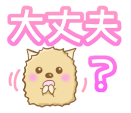 Reply of Pomeranian sticker #4739278