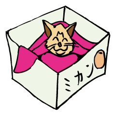 Stray Kitten's new home.