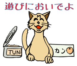 Stray Kitten's new home. sticker #4739584