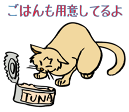 Stray Kitten's new home. sticker #4739585