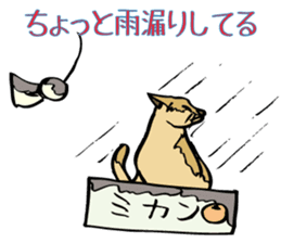 Stray Kitten's new home. sticker #4739586