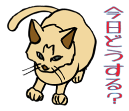 Stray Kitten's new home. sticker #4739587