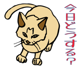 Stray Kitten's new home. sticker #4739587