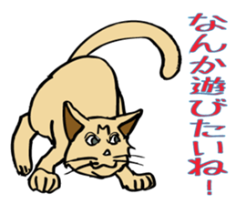 Stray Kitten's new home. sticker #4739588