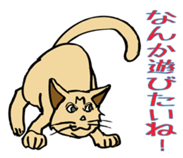 Stray Kitten's new home. sticker #4739588