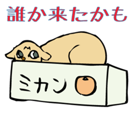 Stray Kitten's new home. sticker #4739591