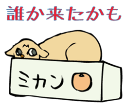 Stray Kitten's new home. sticker #4739591