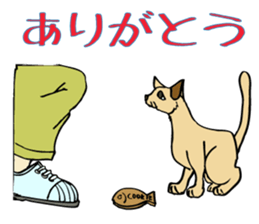 Stray Kitten's new home. sticker #4739595