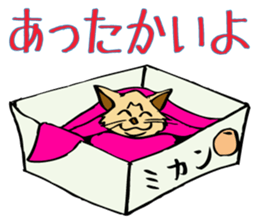 Stray Kitten's new home. sticker #4739598