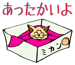 Stray Kitten's new home. sticker #4739598