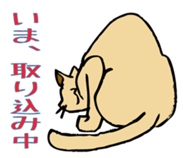 Stray Kitten's new home. sticker #4739604