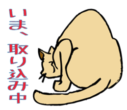 Stray Kitten's new home. sticker #4739604