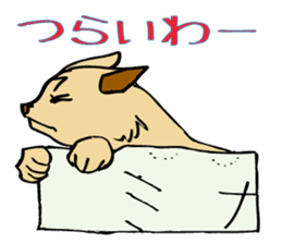 Stray Kitten's new home. sticker #4739615