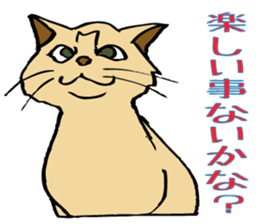 Stray Kitten's new home. sticker #4739618