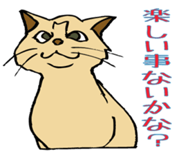 Stray Kitten's new home. sticker #4739618