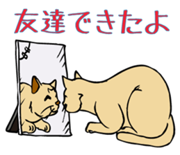 Stray Kitten's new home. sticker #4739621