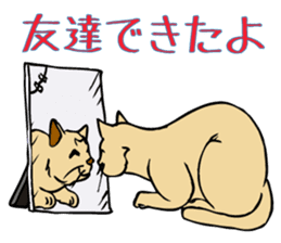 Stray Kitten's new home. sticker #4739621