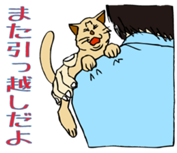 Stray Kitten's new home. sticker #4739623