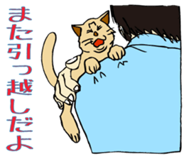 Stray Kitten's new home. sticker #4739623