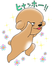 Cool Poodle A to Z sticker #4742114