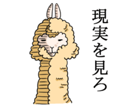 Alpaca Days2 sticker #4743021