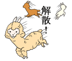 Alpaca Days2 sticker #4743023