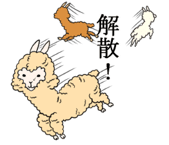 Alpaca Days2 sticker #4743023