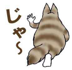 Cat'm very but fun. sticker #4747214