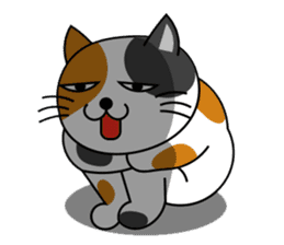 TAMAO of tortoiseshell cat sticker #4747711