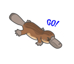 Cute platypus sticker #4749949