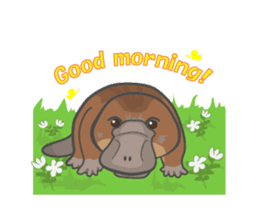 Cute platypus sticker #4749951