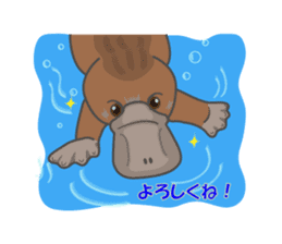 Cute platypus sticker #4749958
