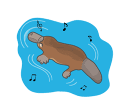 Cute platypus sticker #4749960