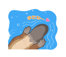 Cute platypus sticker #4749964