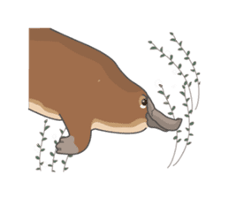 Cute platypus sticker #4749968