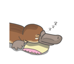 Cute platypus sticker #4749969