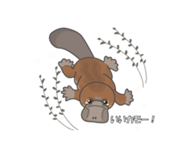 Cute platypus sticker #4749976