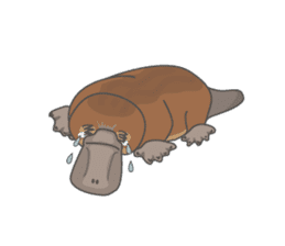 Cute platypus sticker #4749978