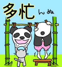 PANDA VS CAT sticker #4751101