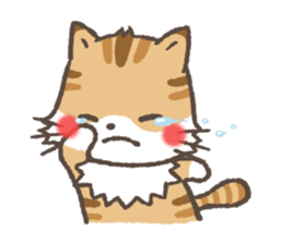 mild-Tabby sticker #4751759