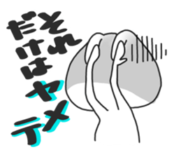 not cat , but rabbit . sticker #4752204