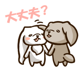 Every day Pekingese sticker #4753988