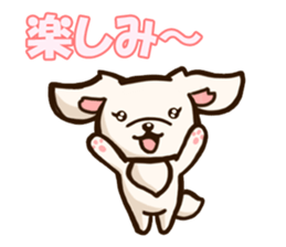 Every day Pekingese sticker #4753995