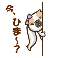 Every day Pekingese sticker #4754007