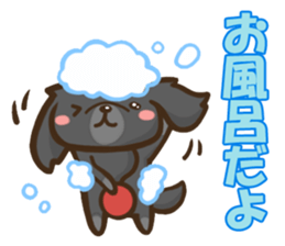 Every day Pekingese sticker #4754009