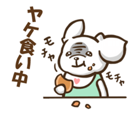 Every day Pekingese sticker #4754017