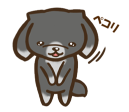 Every day Pekingese sticker #4754023